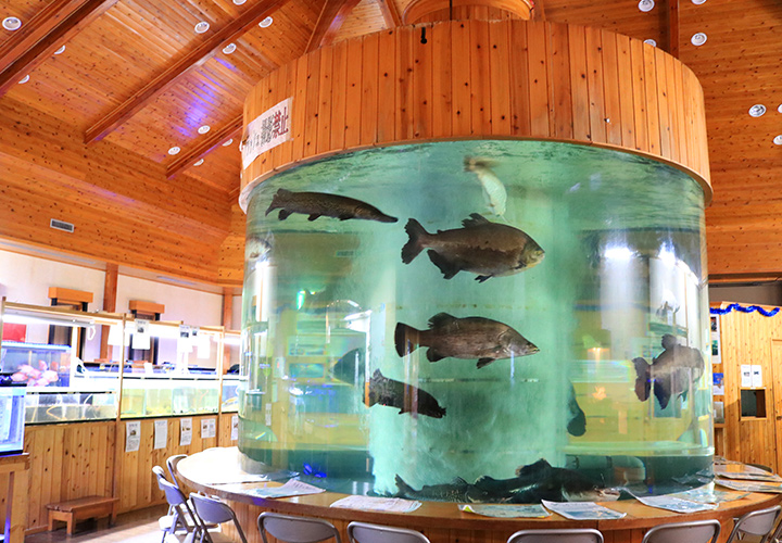 出之山淡水魚水族館