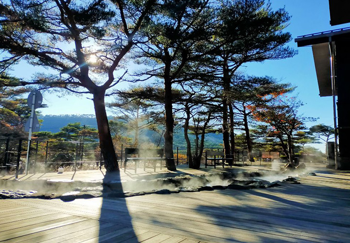 足湯車站蝦野高原