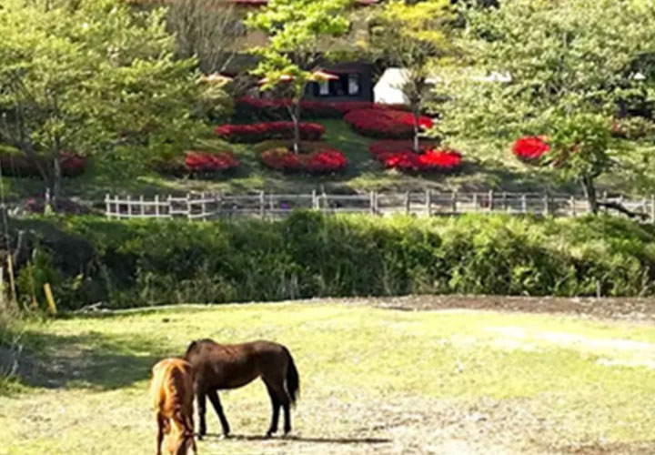 庸山窯