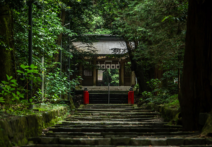 神社神樂溫暖巡禮