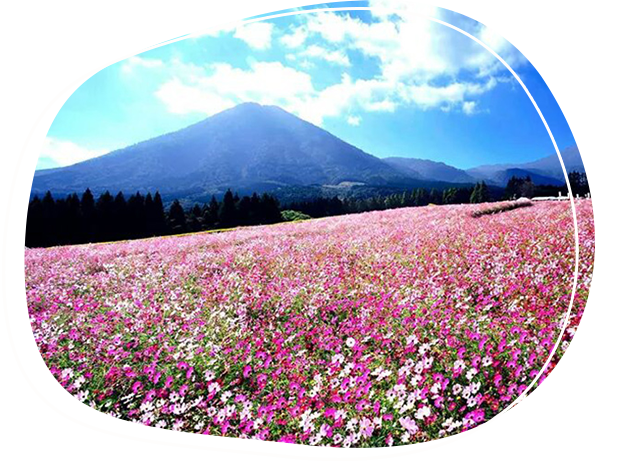 花之站　生駒高原