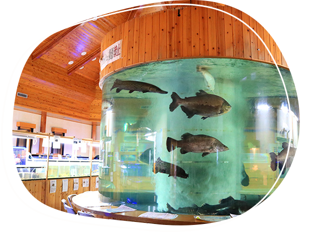 出之山淡水魚水族館